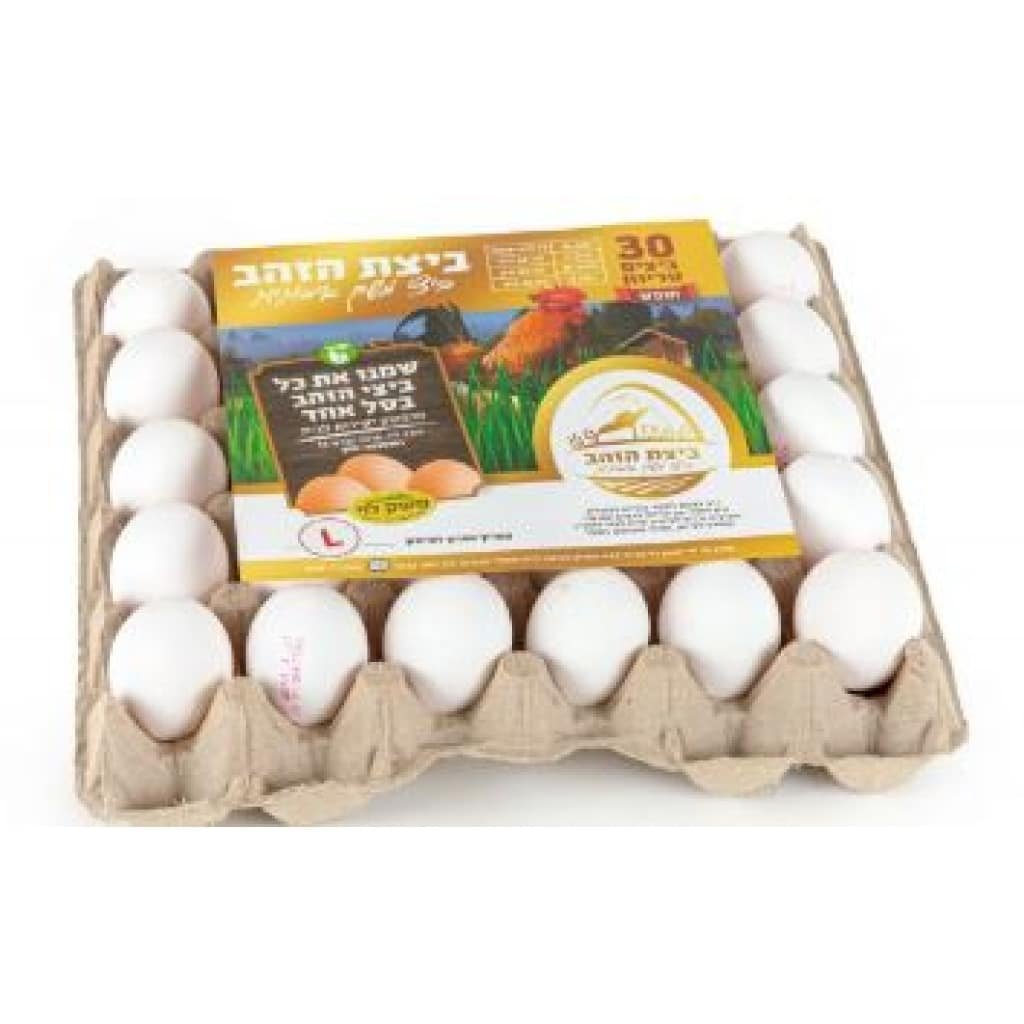 תבנית ביצי חופש XL