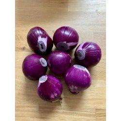 בצלצל סגול מקולף (רגיל)
