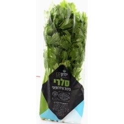 סלרי עלים – הידרופוני
