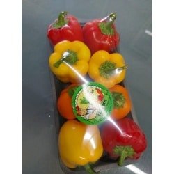פלפלים צבעוניים (מידי) מתאימים למילוי