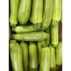 קישואים מארז כ 1 ק”ג
